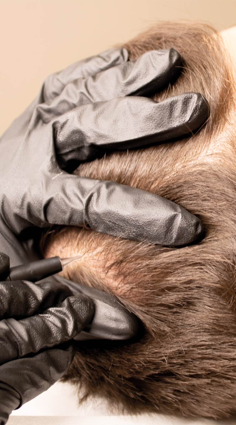 Haar Tattoeages Drenthe